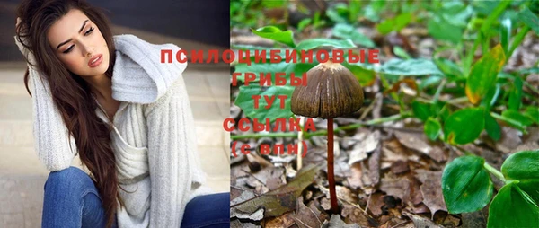 ГАЛЛЮЦИНОГЕННЫЕ ГРИБЫ Дмитровск
